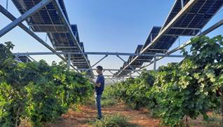 תמונה שמכילה בחוץ, שמיים, בניין, דשא

התיאור נוצר באופן אוטומטי